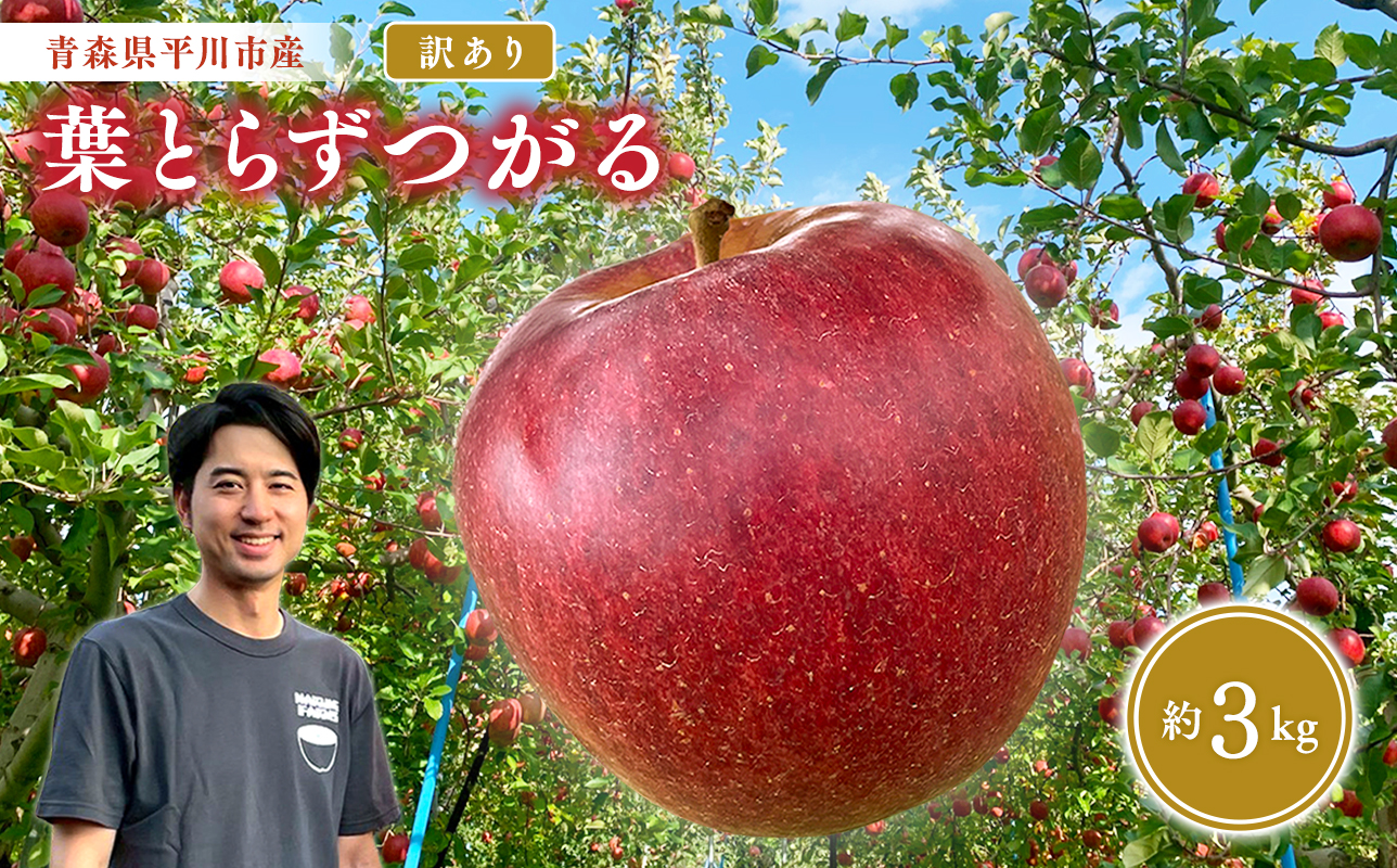 ≪2026年8月下旬頃より発送≫青森県産 訳あり つがる 約3kg【青森県 平川市 なるみ農園】家庭用 訳アリ 青森 青森県産 平川 りんご リンゴ 林檎 くだもの 果物 フルーツ 