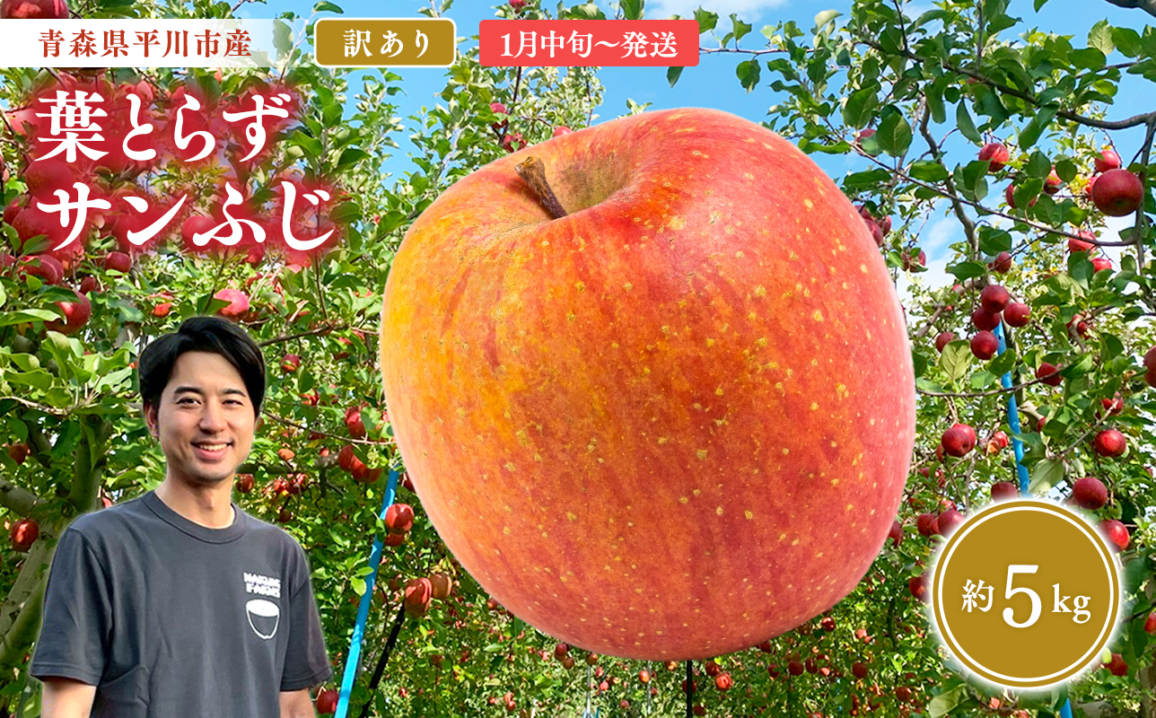 ≪2027年1月上旬頃より発送≫青森県産 訳あり 葉取らずサンふじ 約5kg【青森県 平川市 なるみ農園】家庭用 訳アリ 青森 青森県産 平川 りんご リンゴ 林檎 くだもの 果物 フルーツ 