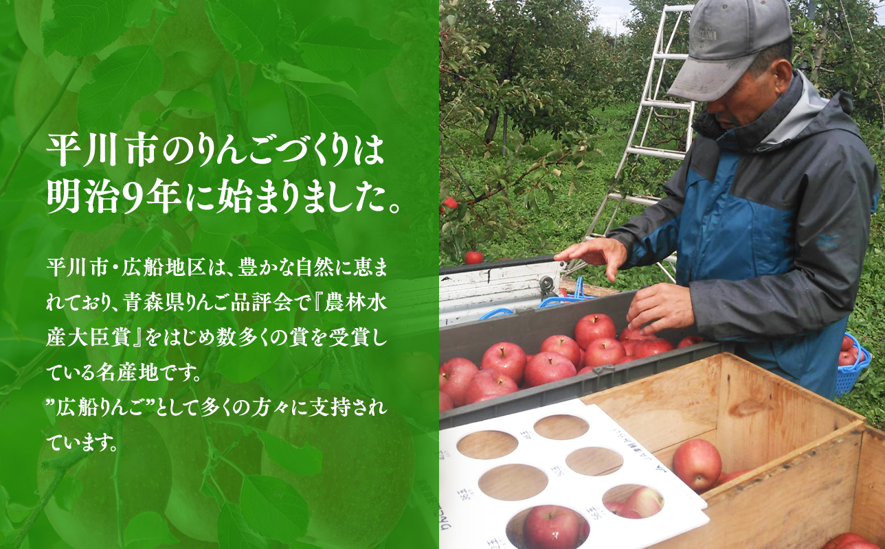 ≪10～12月発送≫ 完熟りんご  シナノスイート 約3kg 贈答用【夢ファクトリー】 青森県産 キラ農法【hi-0008-020】  
