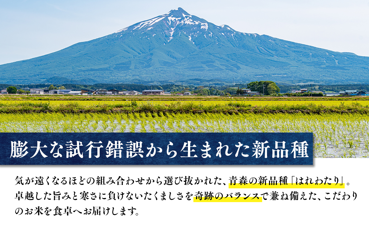 ã什å8幎ç£ãæ°ç±³:10æäžæ¬ïœåºè·éå§ã岩æžèŸ²åãã¯ãããã(粟米)ã5kgãã鿣®çå¹³å·åžç£ããhi-0023-004ã
