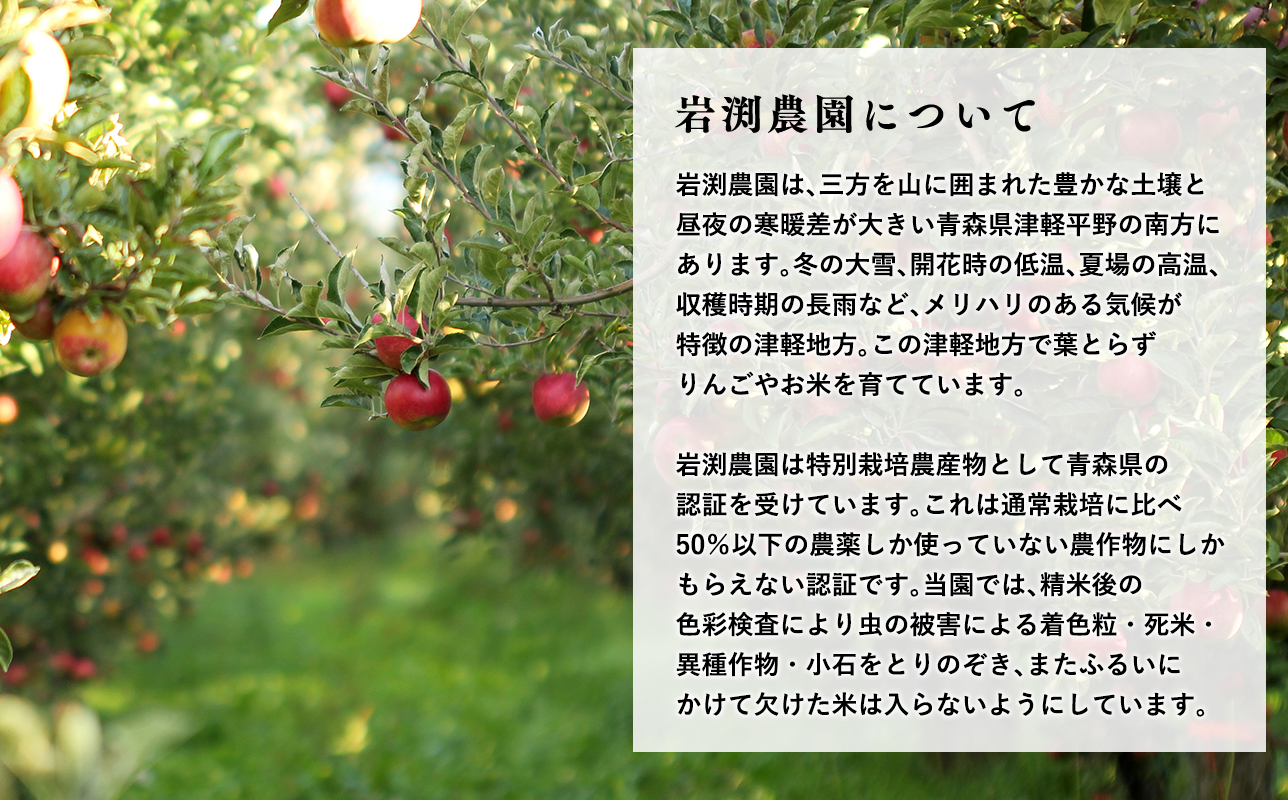 ã什å8幎ç£ãæ°ç±³:10æäžæ¬ïœåºè·éå§ã岩æžèŸ²åãã¯ãããã(粟米)ã10kgãã鿣®çå¹³å·åžç£ããhi-0023-005ã