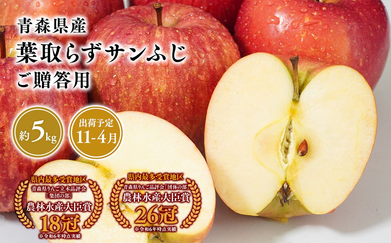 2026年産１１月～4月発送　贈答用葉とらずサンふじ5kg【青森県 平川市 そと川りんご園】
