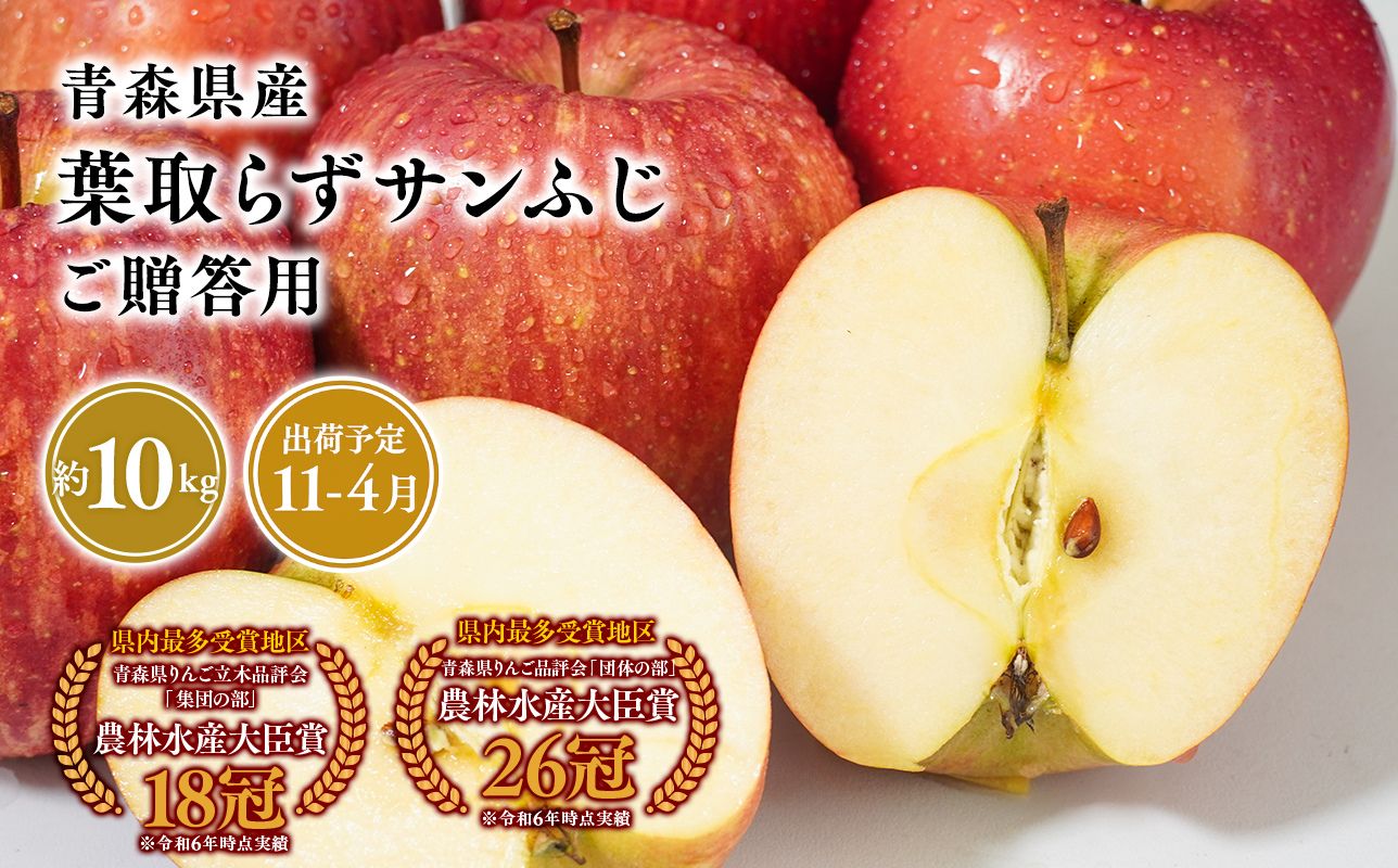 2026年産１１月～4月発送　贈答用葉とらずサンふじ10kg【青森県 平川市 そと川りんご園】１１月～４月発送 贈答 青森 青森県産 平川 葉とらず サンふじ ふじ りんご リンゴ 林檎 くだもの 果物 フルーツ