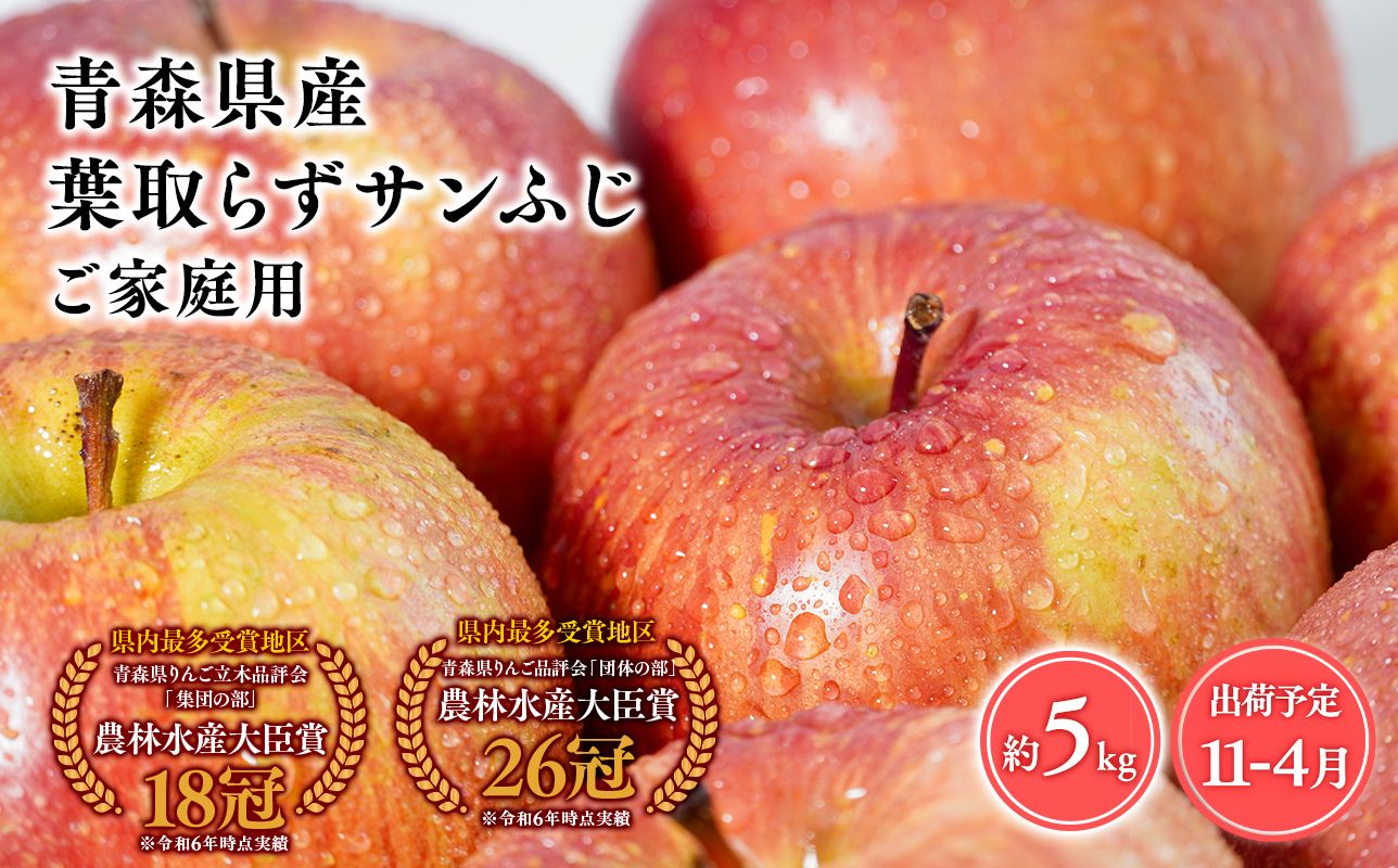 2026年産１１月～4月発送　【訳あり】家庭用葉とらずサンふじ5kg【青森県 平川市 そと川りんご園】