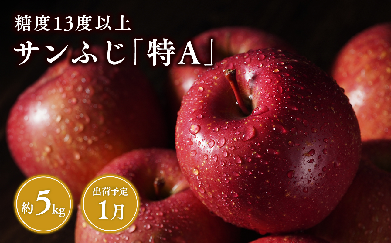 1月  サンふじ約5kg 糖度13度以上(14～20玉程度）【青森県 平川市 森山商店 】