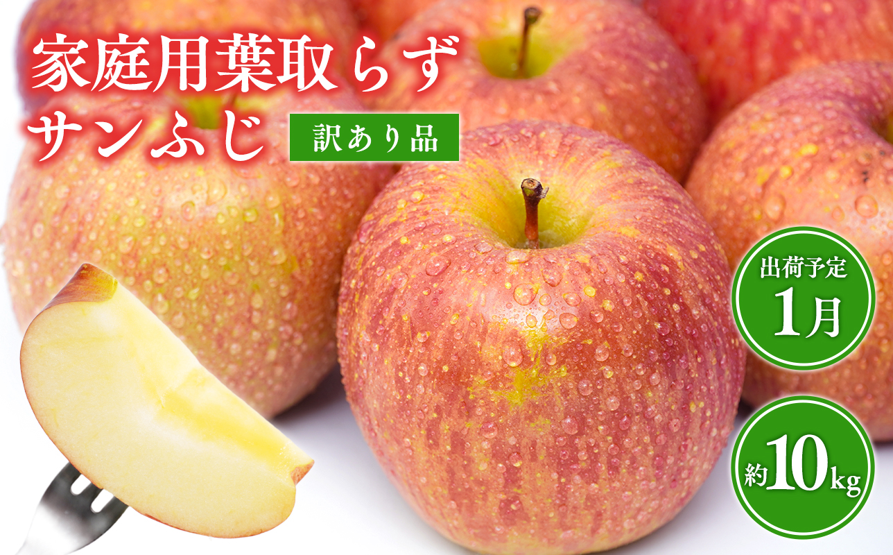 1月 葉取らずサンふじりんご 約10kg 訳あり 家庭用【青森県 平川市 森山商店 】