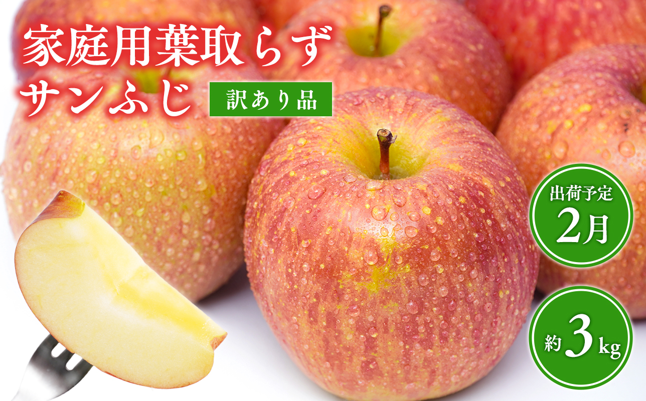 2月 葉取らずサンふじりんご 約3kg 訳あり 家庭用【青森県 平川市 森山商店 】