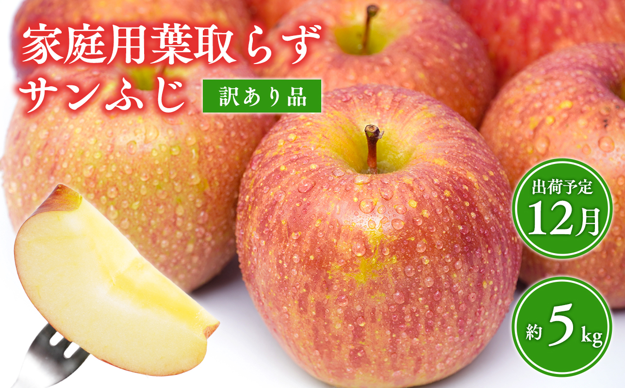 12月 葉取らずサンふじりんご 約5kg訳あり 家庭用【青森県 平川市 森山商店 】