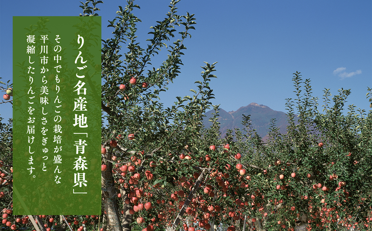 4月 発送【訳あり】家庭用有袋ふじ約5㎏【有袋ふじ・りんご・青森・平川・訳あり・家庭用・原田青果・5㎏】