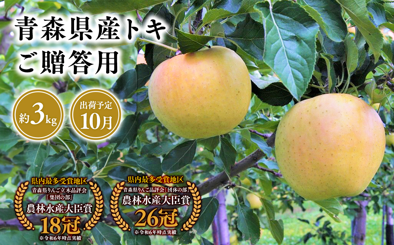 2025年産１０月発送　贈答用トキ3ｋｇ　【そと川りんご園・１０月・青森県産・平川市・りんご・トキ・3ｋｇ・贈答用】