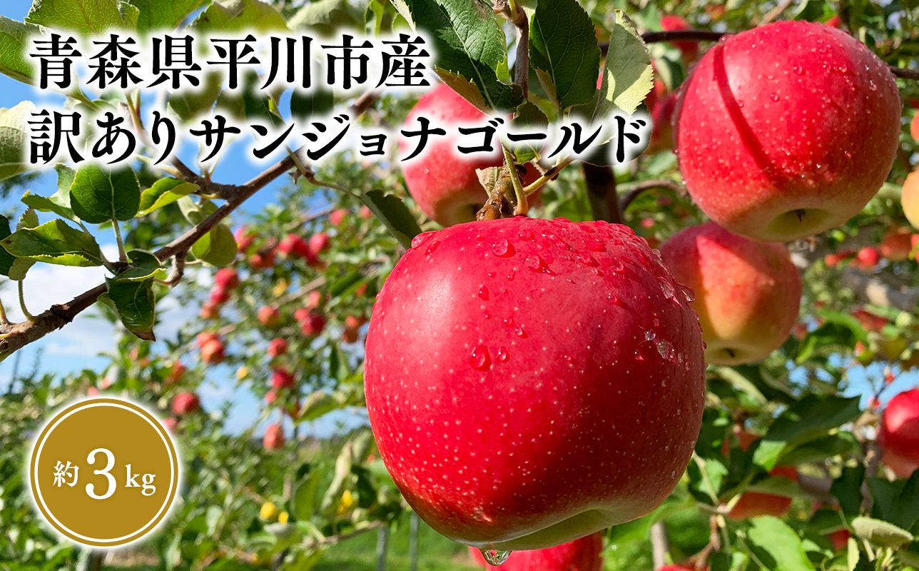 10月中旬〜発送　 訳あり サンジョナゴールド約3kg(家庭用)【なるみ農園・青森りんご・平川市産・数量限定】