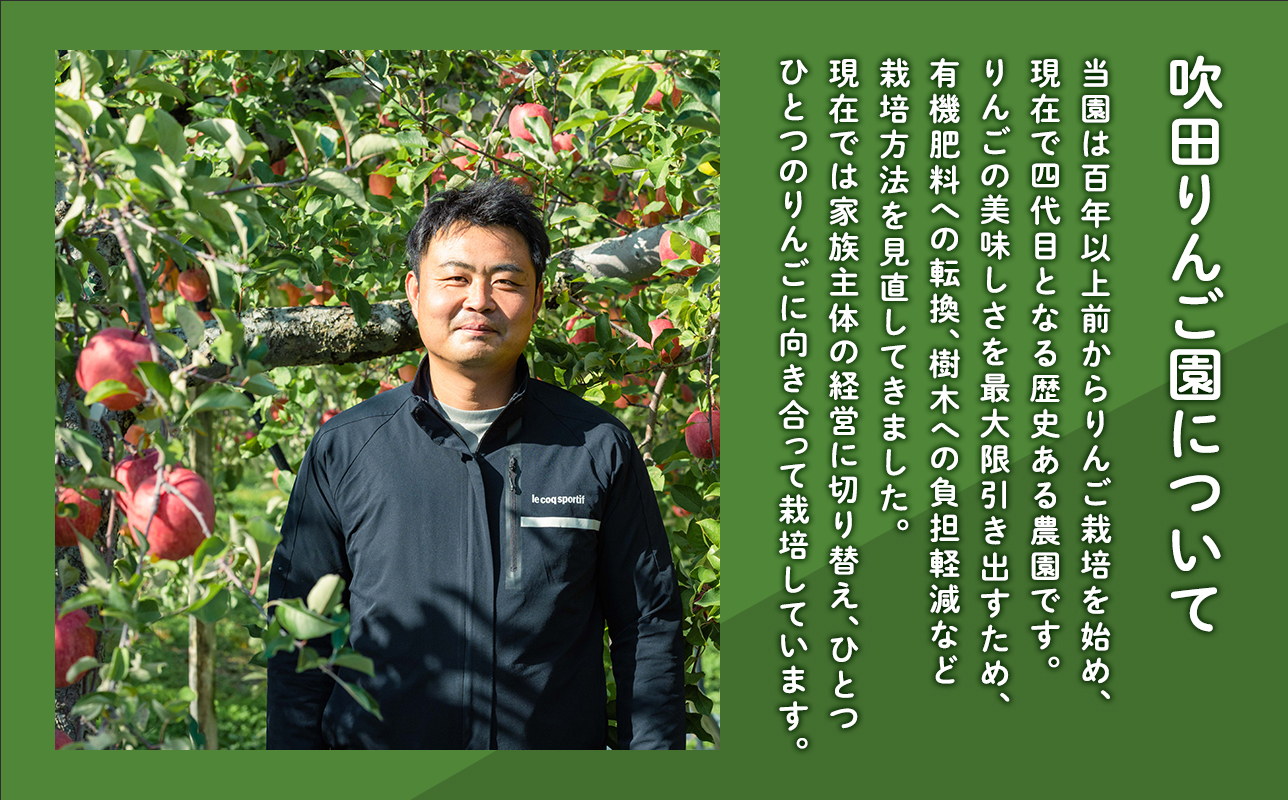 王林ブレンド津軽甘（かん）ジュース1L×6本入り