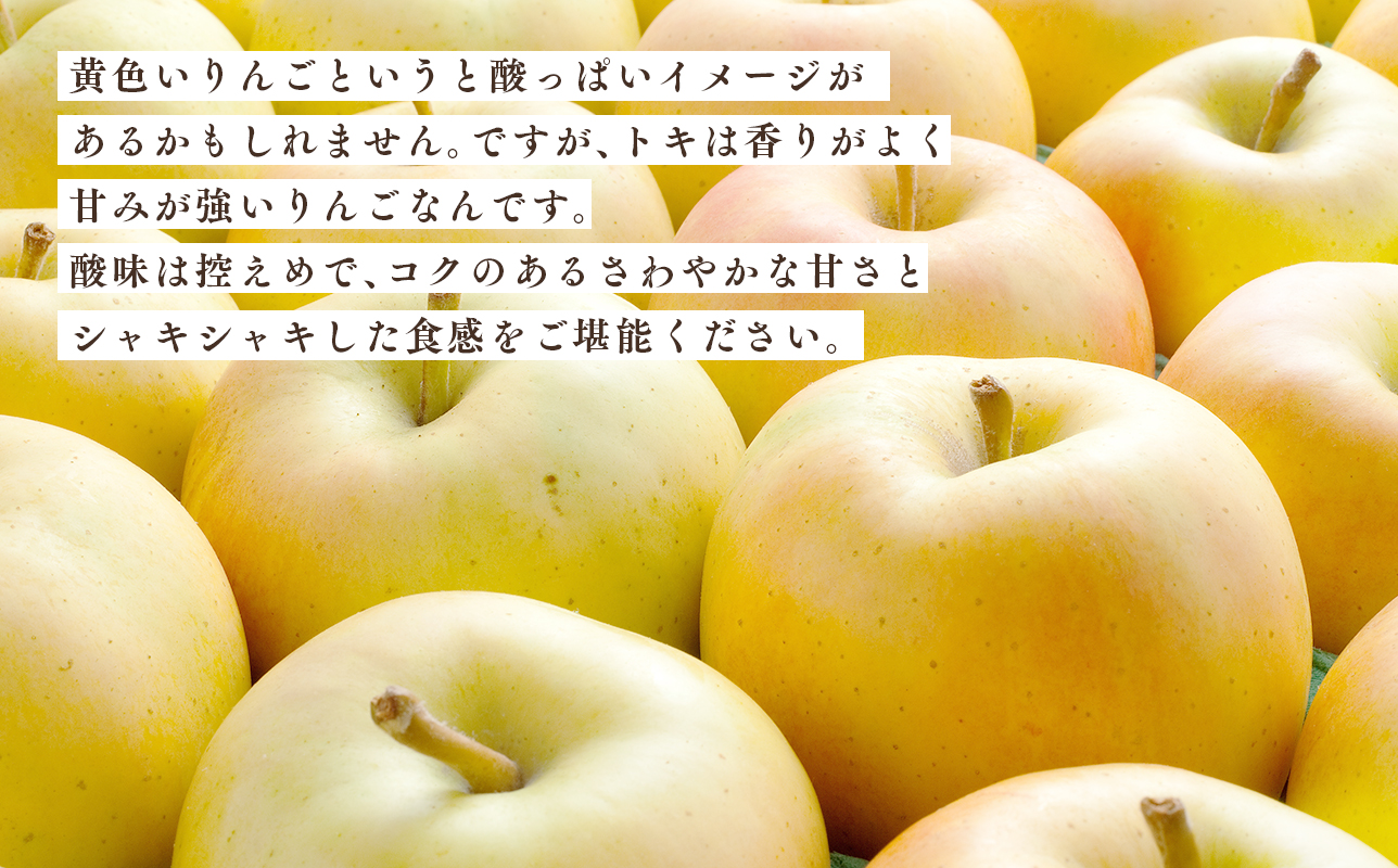 年内発送 【訳あり】家庭用 トキ 約5kg【那由多のりんご園・平川市産】
