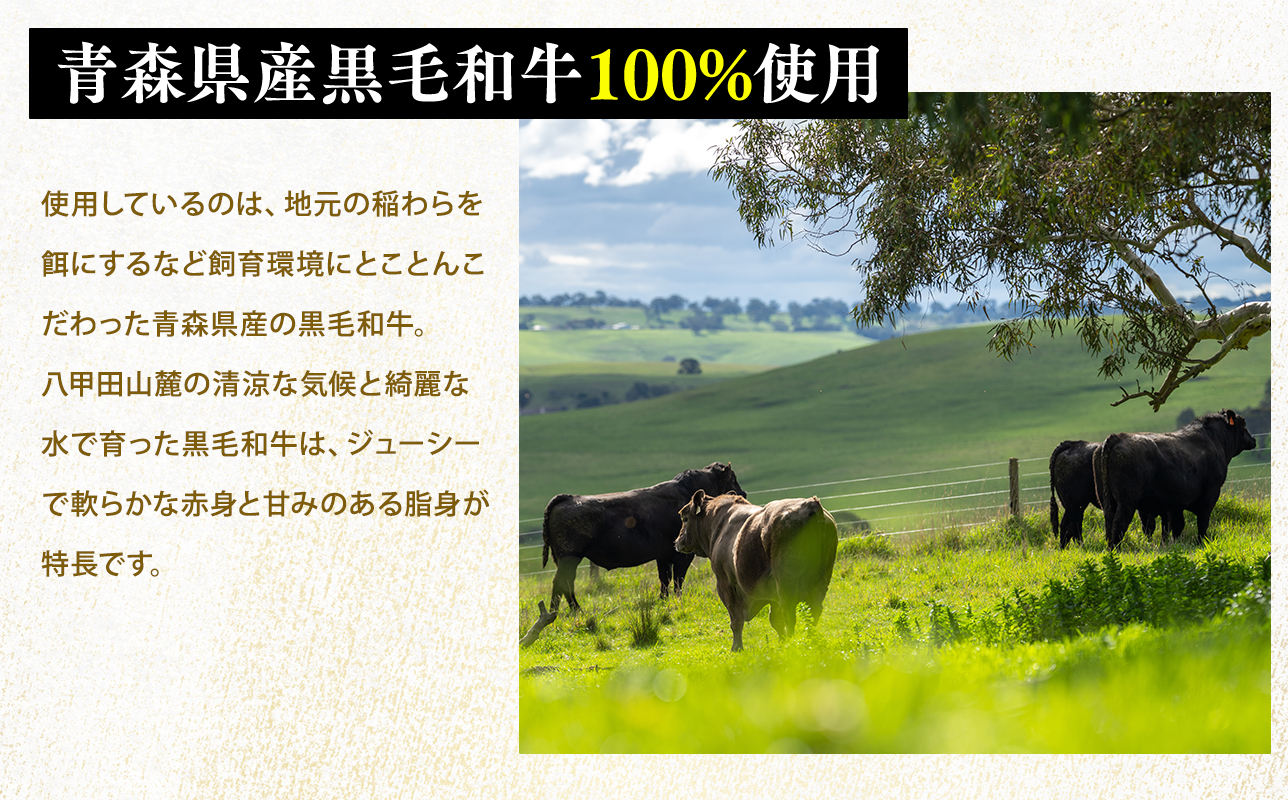 トマト煮込みハンバーグ160g×5 【平川市産原料使用】