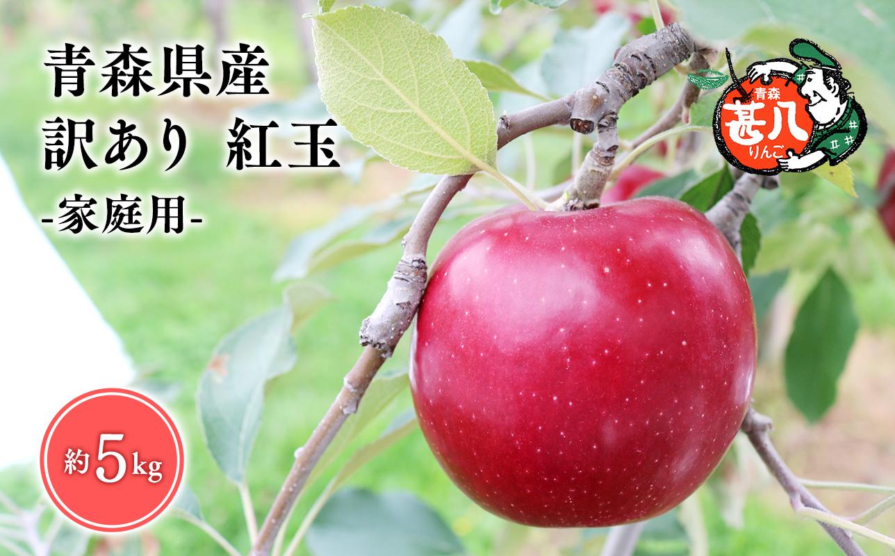 １０月発送　訳あり　家庭用　甚八りんご紅玉５kg　【マルジンサンアップル　10月　青森県産　平川市　りんご　紅玉　5kg　訳あり　家庭用】