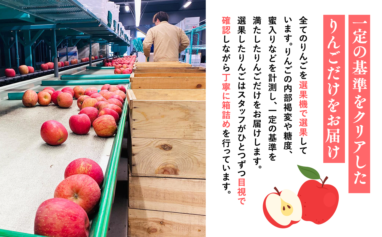 4月発送 【特選】サンふじ5ｋｇ【りんご・青森・平川・特選・宮川商店・11月・12月・1月・2月・3月・4月】