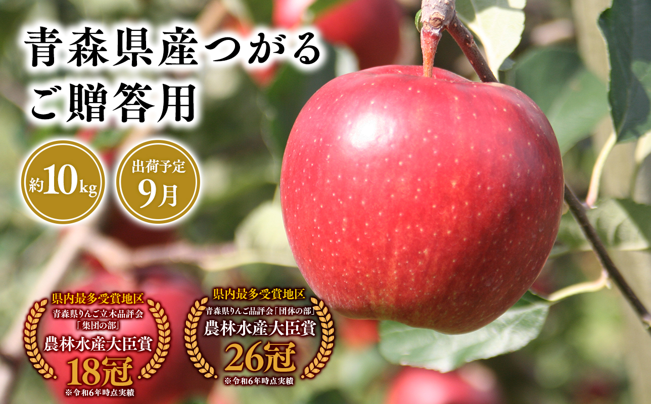 2025年産9月発送　贈答用つがる10ｋｇ　【そと川りんご園・9月・青森県産・平川市・りんご・つがる・10ｋｇ・贈答用】