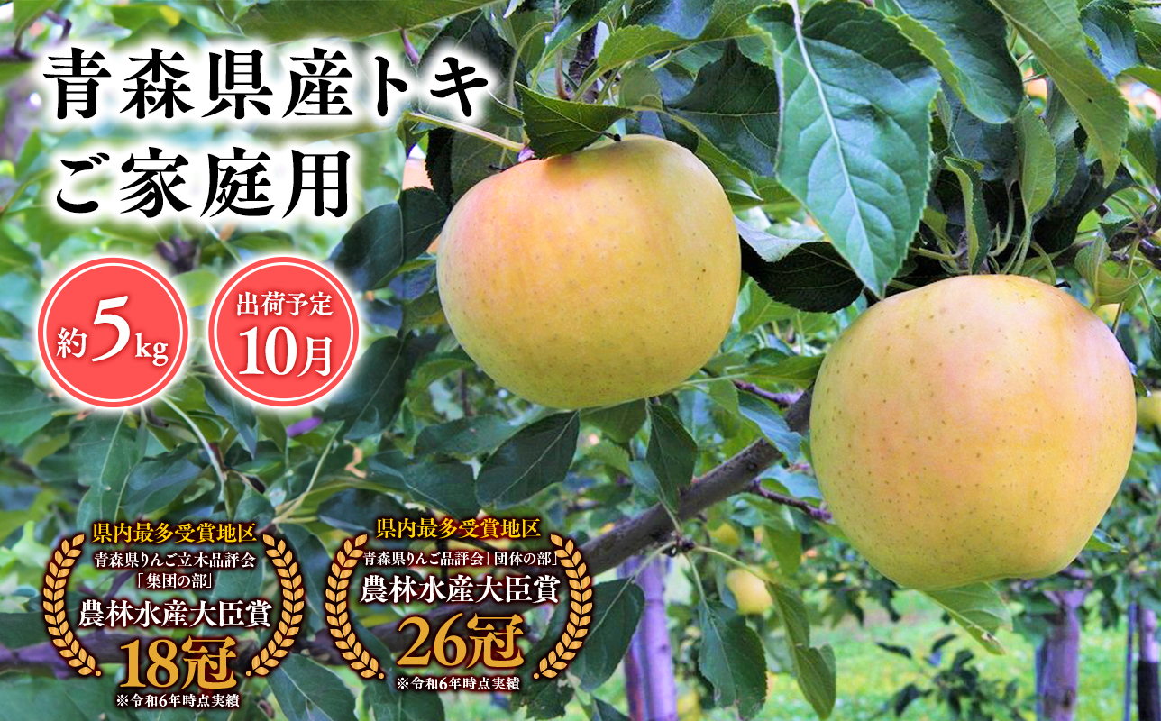 2025年産１０月発送　【訳あり】家庭用トキ5ｋｇ　【そと川りんご園・１０月・青森県産・平川市・りんご・トキ・5ｋｇ・訳あり・家庭用】