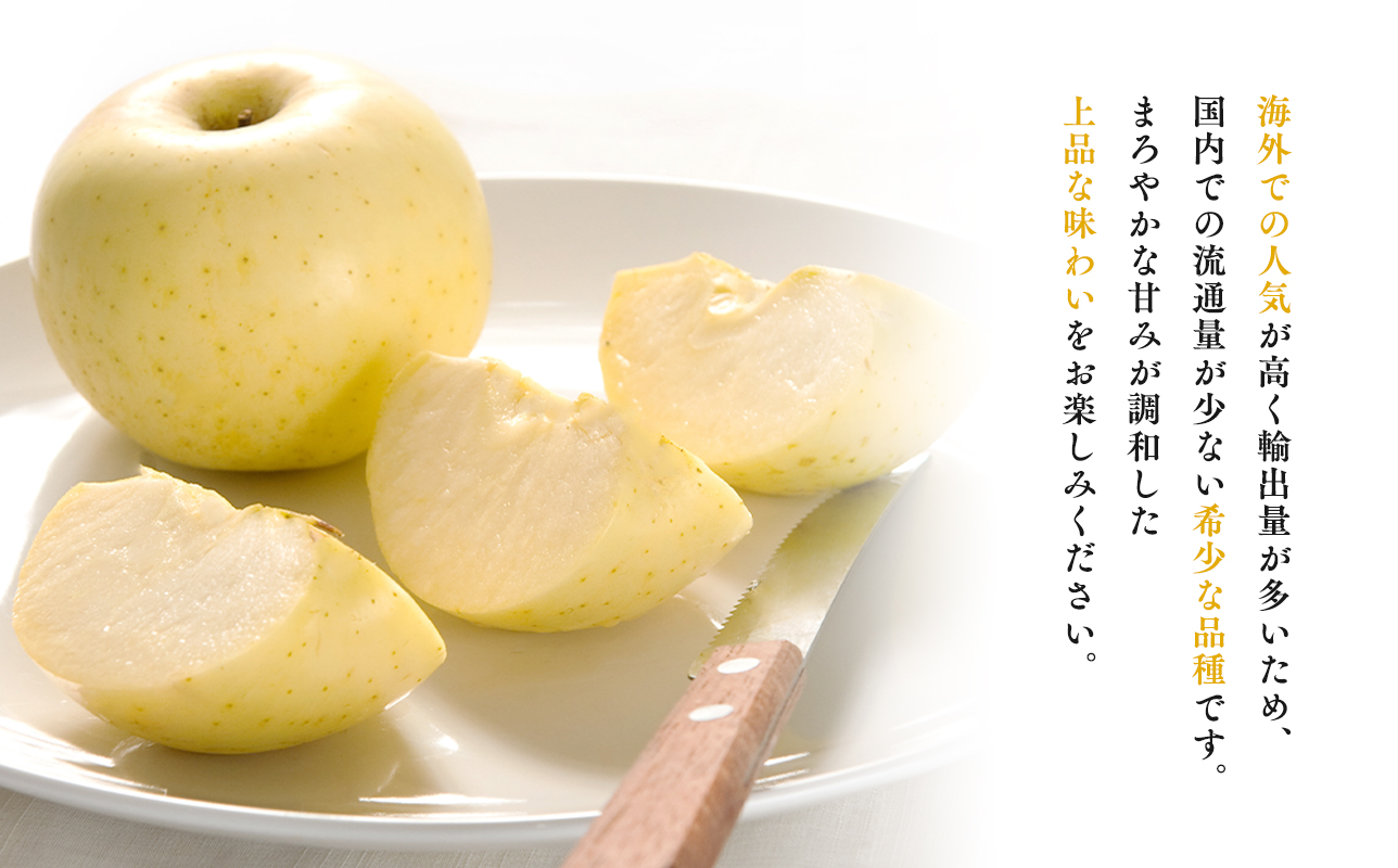 年明け 贈答規格 広船の大玉金星約3kg「特A」【広船アップルクラブ　平川市広船産　青森りんご　1月　2月】1月30日申込締め切り