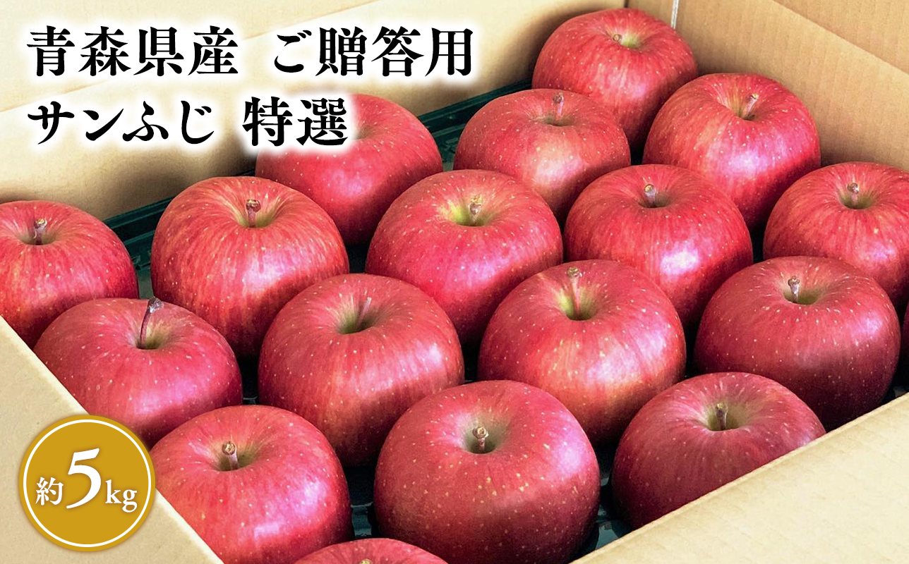 1月発送 【特選】サンふじ5ｋｇ【りんご・青森・平川・特選・宮川商店・11月・12月・1月・2月・3月・4月】