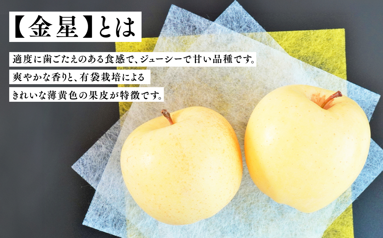 年明け 贈答規格 広船の大玉金星約3kg「特A」【広船アップルクラブ　平川市広船産　青森りんご　1月　2月】1月30日申込締め切り