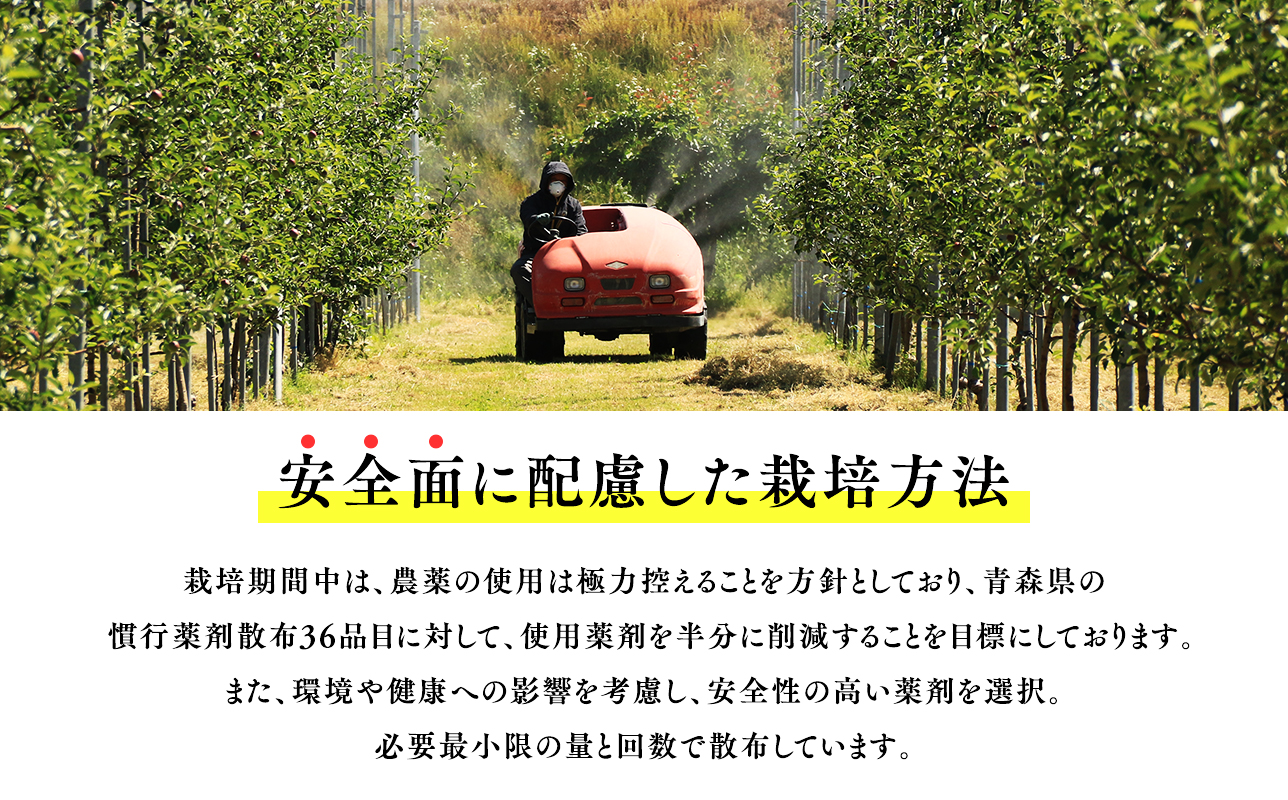 青森県産 無添加りんごジュース1L×6本【青森　平川市　そと川りんご園　平川市産りんご】