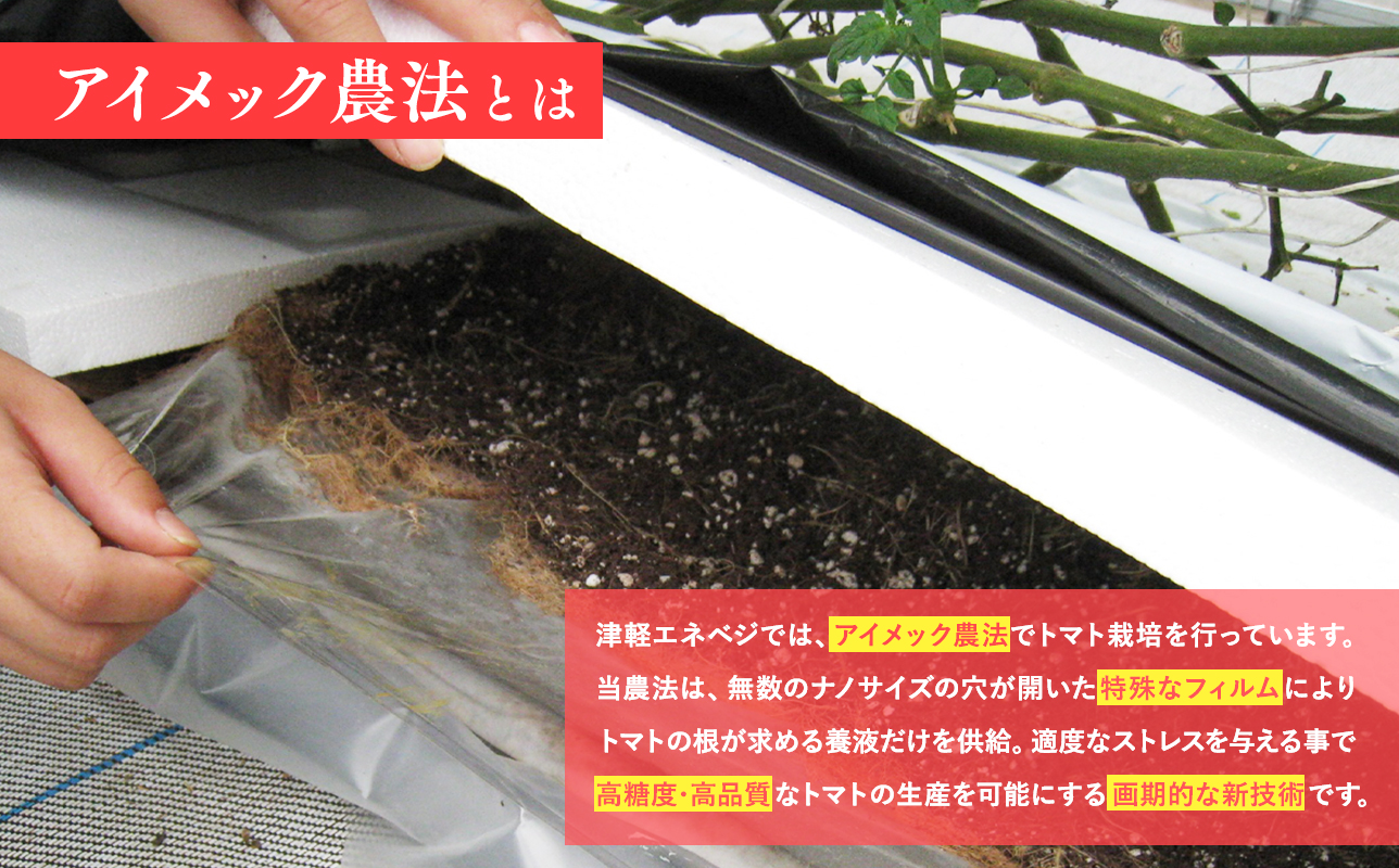 再生可能エネルギー生まれ 高糖度ミニトマトジュース500ml×3本