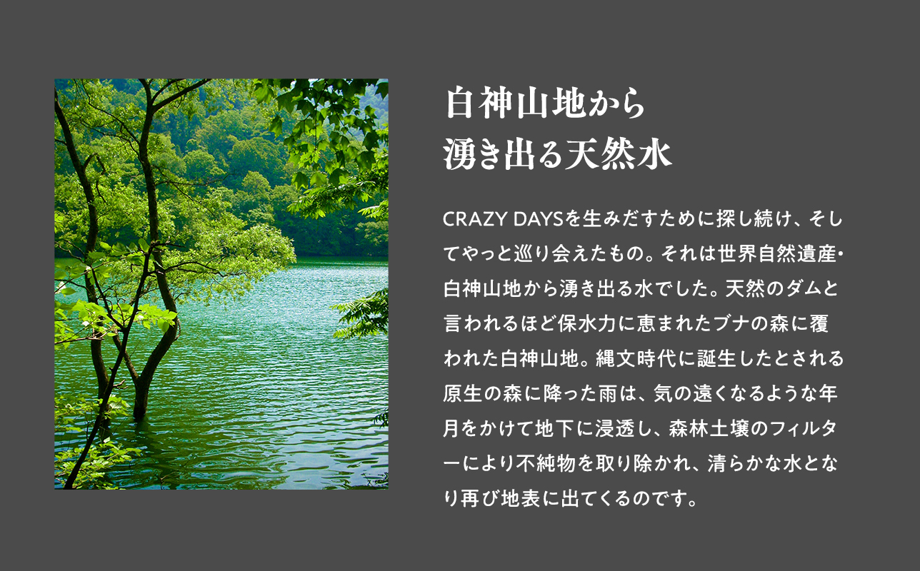 プレミアムアップルブランデー「CRAZYDAYS　WHITE　DREAM　EDITION」（アルコール度数：40％）700ml