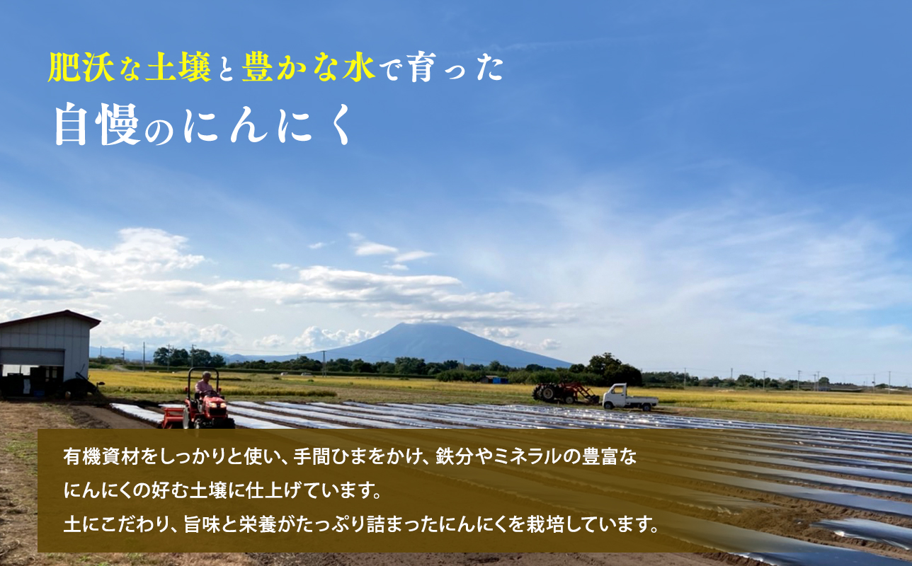 わのたれ（焼き肉のたれ）170ｇ×12本セット