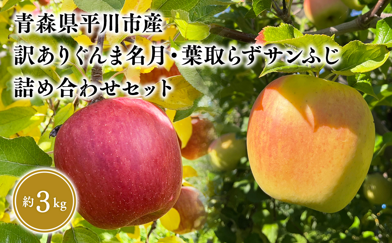 12月上旬〜発送 訳あり ぐんま名月・葉とらずサンふじ詰め合わせセット約3kg(家庭用)[なるみ農園・青森りんご・平川市産・詰め合わせ・数量限定]