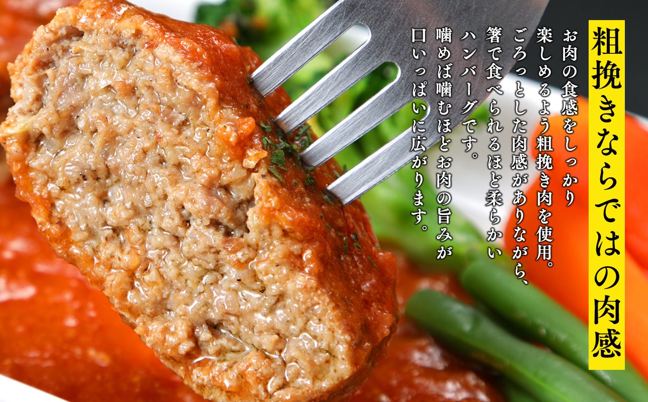 トマト煮込みハンバーグ160g×5 【平川市産原料使用】