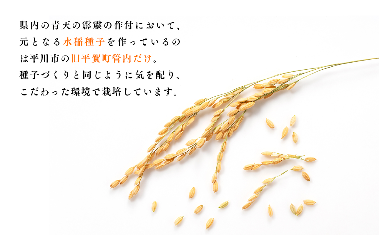 莉、蜥7蟷エ逕」 髱貞、ゥ縺ョ髴ケ髱5kg