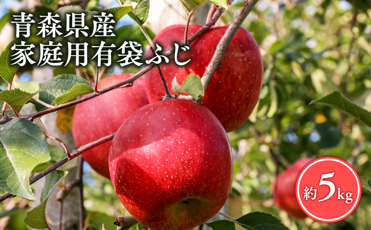 【5月〜6月発送】家庭用有袋ふじ5kg【丸勝木村商店・青森りんご】