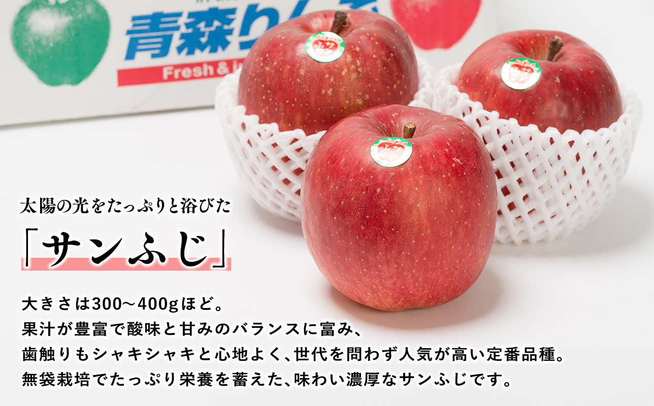 【2026年1~3月発送】 吹田りんご園 山の完熟サンふじ・シナノゴールド約3kg 【吹田りんご園・青森りんご・平川市広船産・1月・2月・3月】