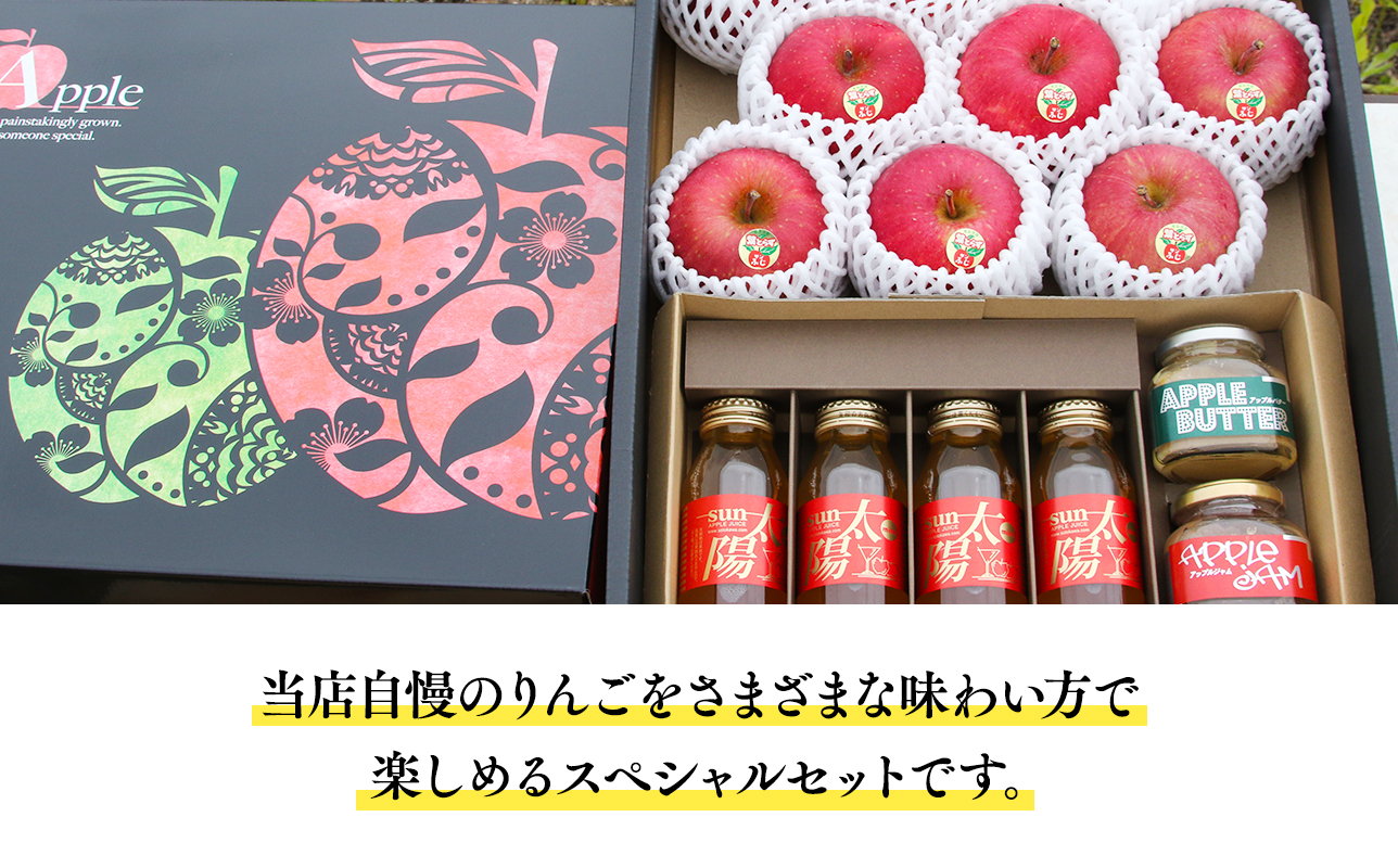 青森県産りんご＆りんご加工品詰め合わせセット【青森県 平川市 そと川りんご園】