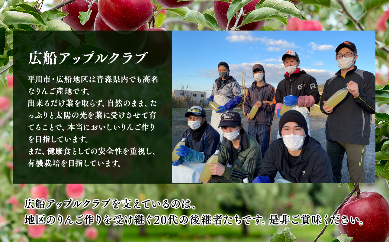 年明け 贈答規格 広船の大玉金星約3kg「特A」【広船アップルクラブ　平川市広船産　青森りんご　1月　2月】1月30日申込締め切り