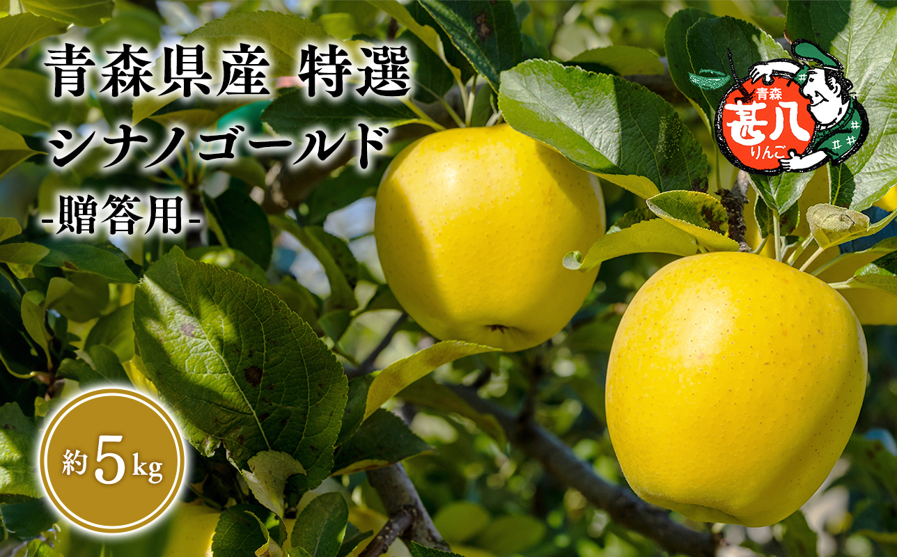 ïŒæçºéãç¹éžãçå
«ãããã·ãããŽãŒã«ãïŒkgãããã«ãžã³ãµã³ã¢ããã«ã6æã鿣®çç£ãå¹³å·åžãããããã·ãããŽãŒã«ãã5kgãç¹éžãèŽççšã