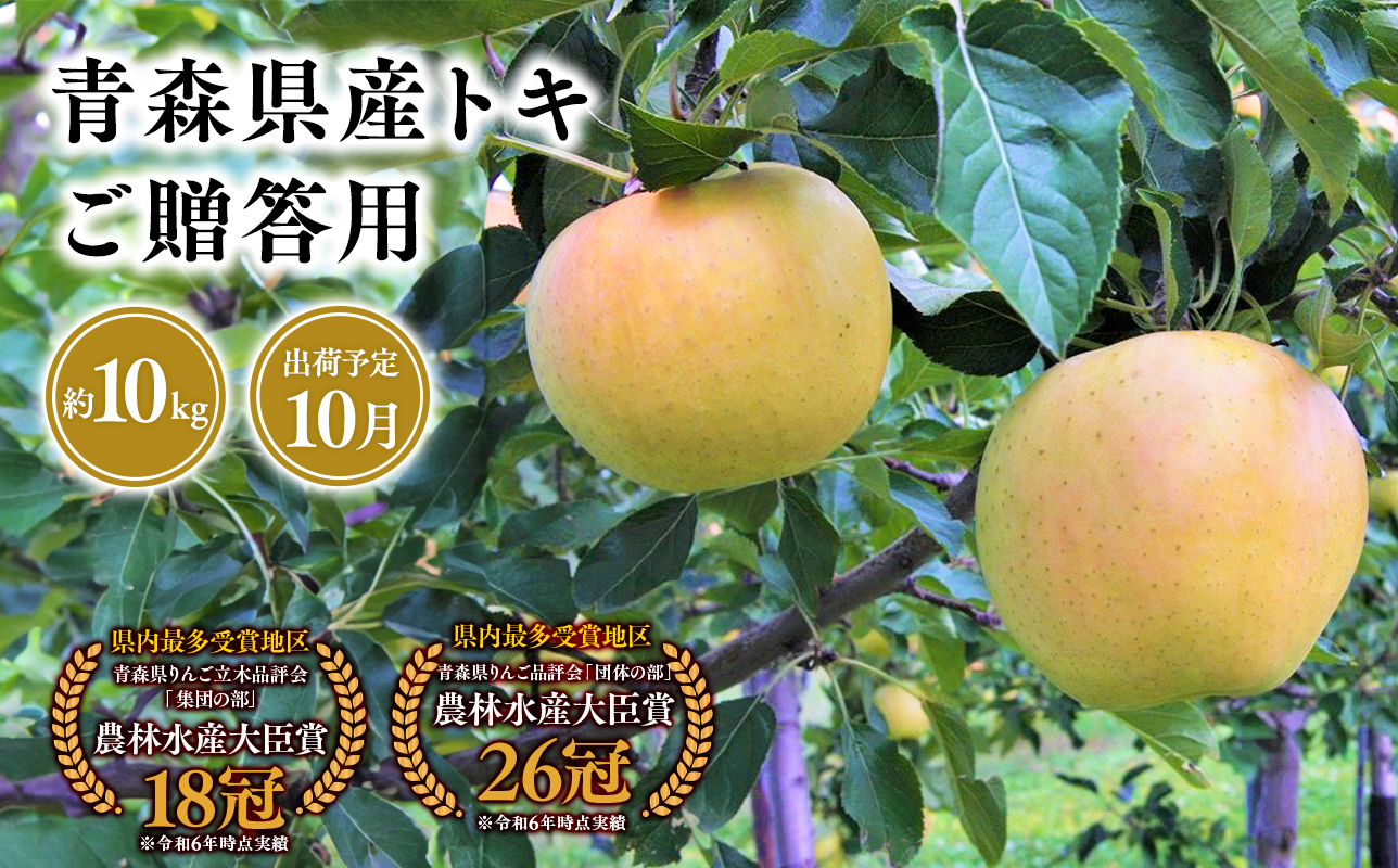 2025年産１０月発送　贈答用トキ10ｋｇ　【そと川りんご園・１０月・青森県産・平川市・りんご・トキ・10ｋｇ・贈答用】