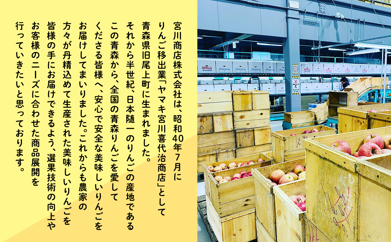 3月発送 【特選】サンふじ5ｋｇ【りんご・青森・平川・特選・宮川商店・11月・12月・1月・2月・3月・4月】