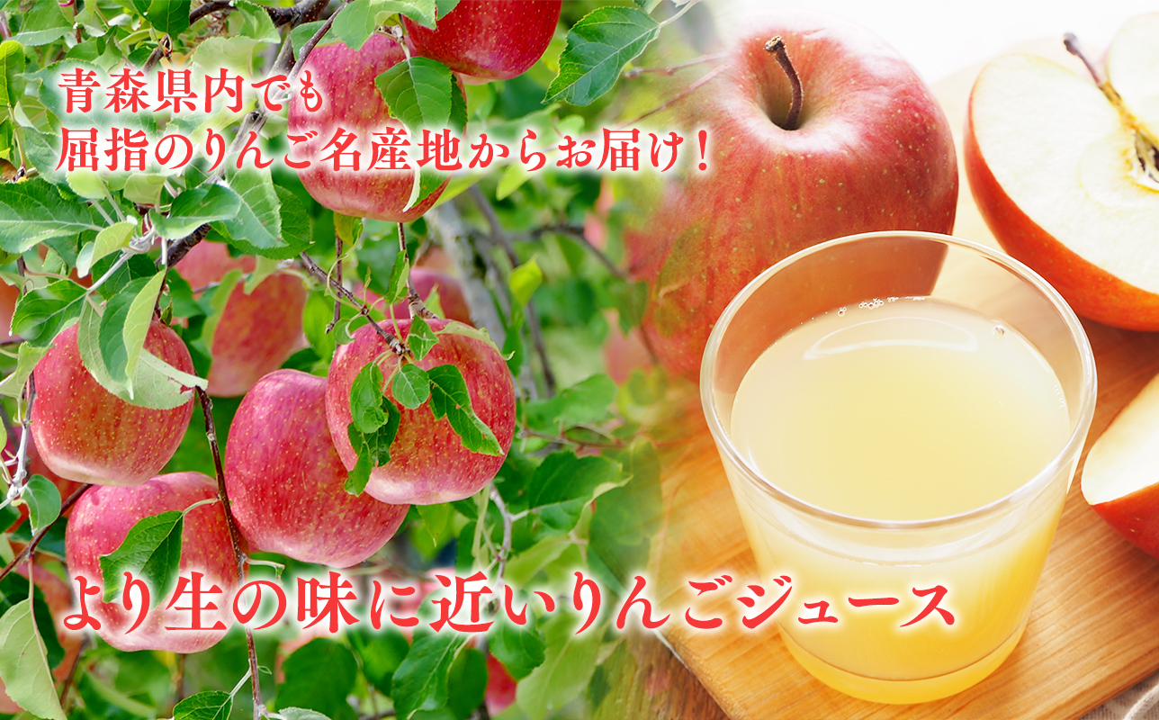 ひろふね林檎果汁100％（ブレンド1L×6本入り）