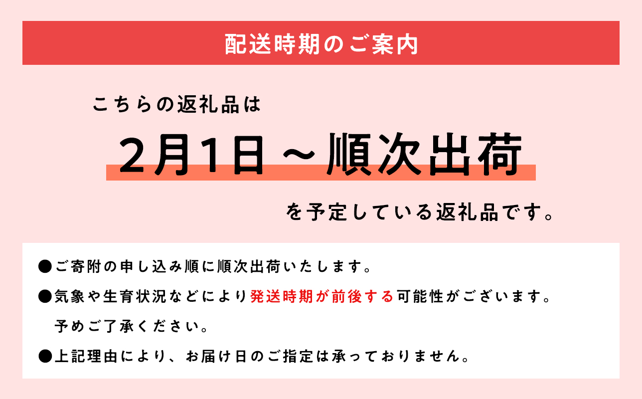 歳末限定！糖度選別 特Aサンふじ約5kg 糖度13度以上！【青森県 平川市 JA津軽みらい 2月】 青森 青森県産 平川 りんご リンゴ 林檎 くだもの 果物 フルーツ