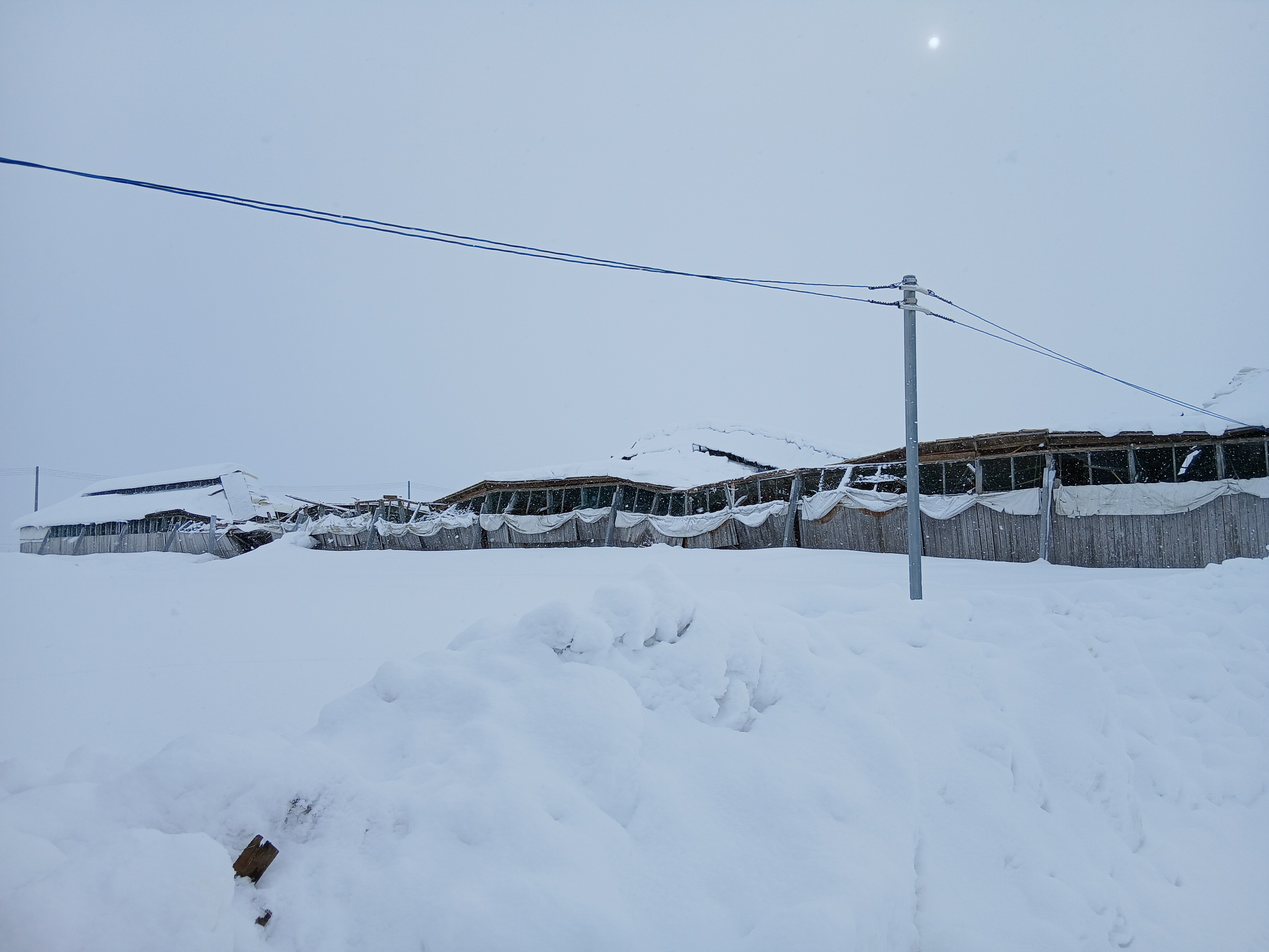令和8年１月豪雪災害