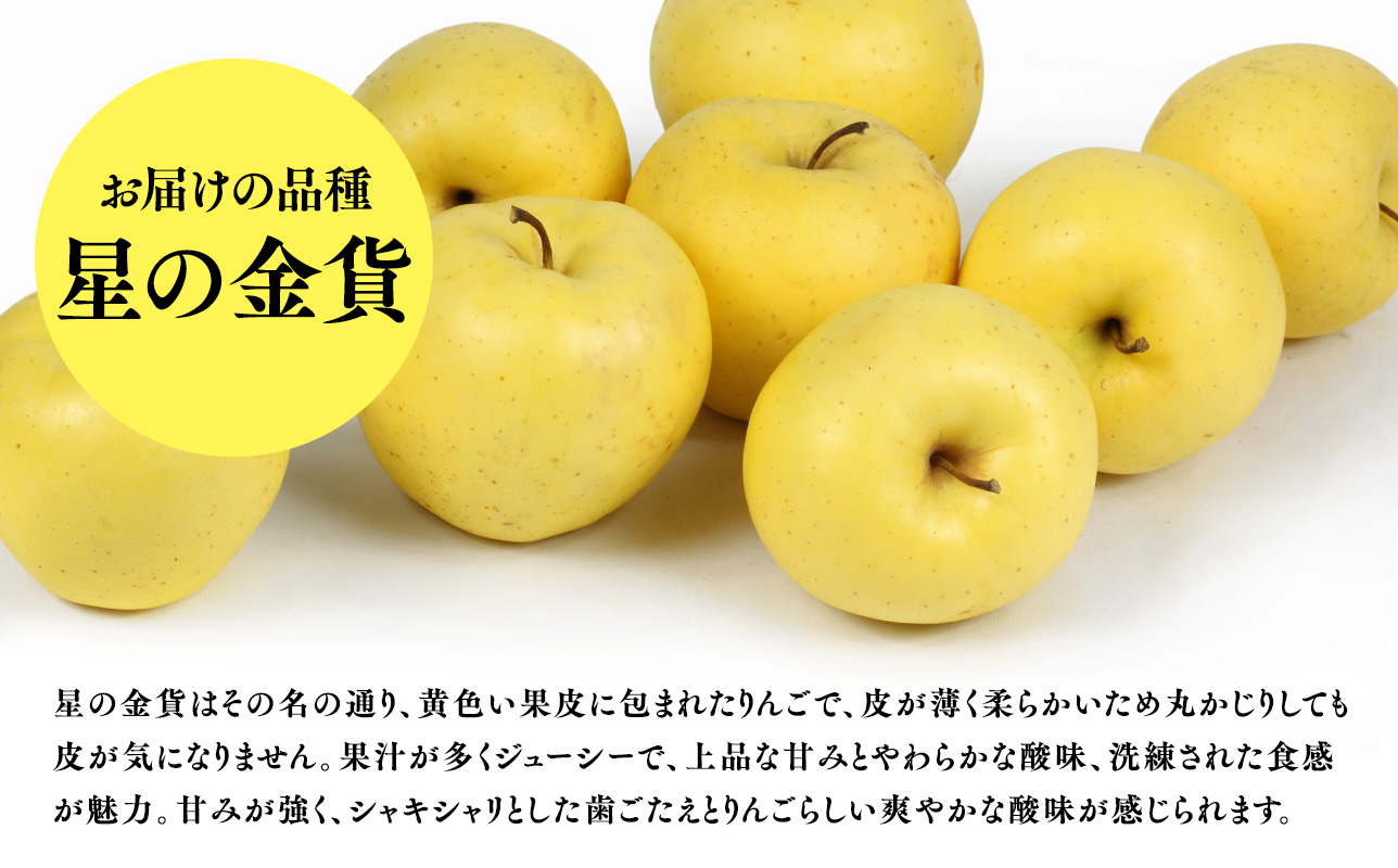 １１月発送　訳あり　家庭用　甚八りんご星の金貨5kg　【マルジンサンアップル　11月　青森県産　平川市　りんご　星の金貨　5kg　訳あり　家庭用】
