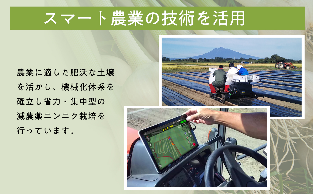 わのたれ（焼き肉のたれ）170ｇ×24本セット
