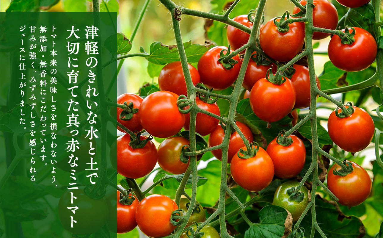 無添加 プレミアムトマトジュース 720ml×1本