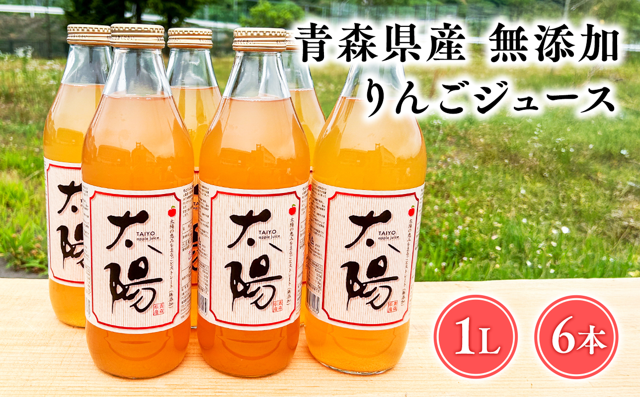 青森県産 無添加りんごジュース1L×6本【青森　平川市　そと川りんご園　平川市産りんご】