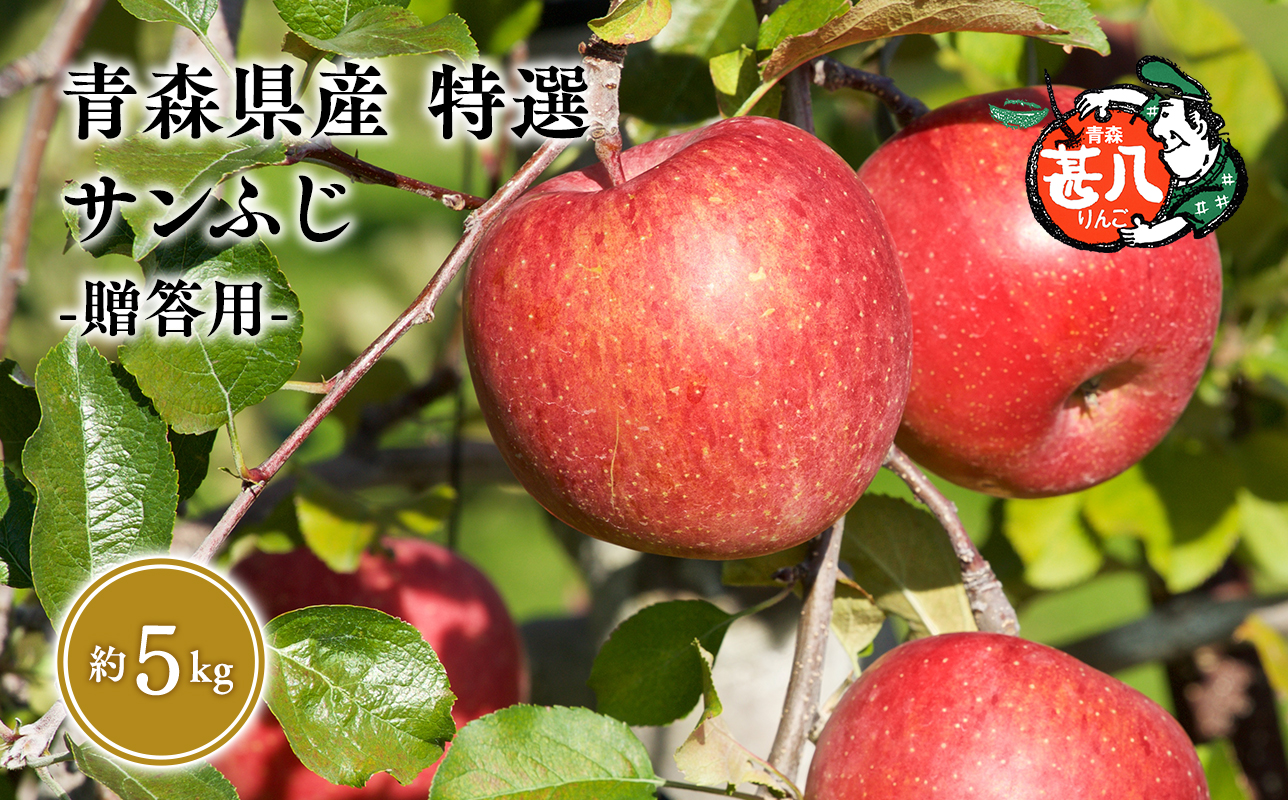 ３月発送　特選　甚八りんごサンふじ5kg　【青森県 平川市 マルジンサンアップル】３月発送 青森 青森県産 平川 りんご リンゴ 林檎 くだもの 果物 フルーツ