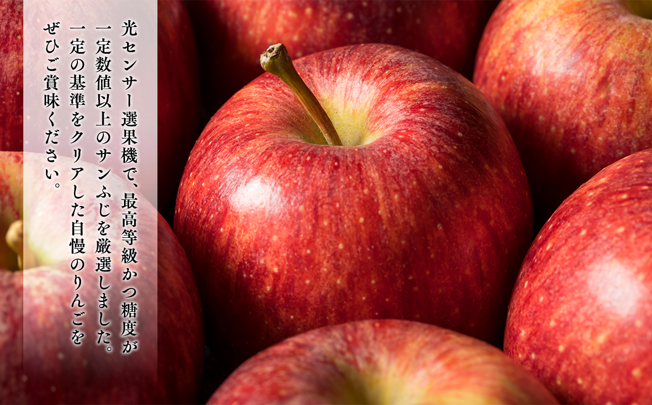年内 最高級「特選」 糖度選別サンふじ 約5kg 【JA津軽みらい・平川市産・青森りんご・12月】
