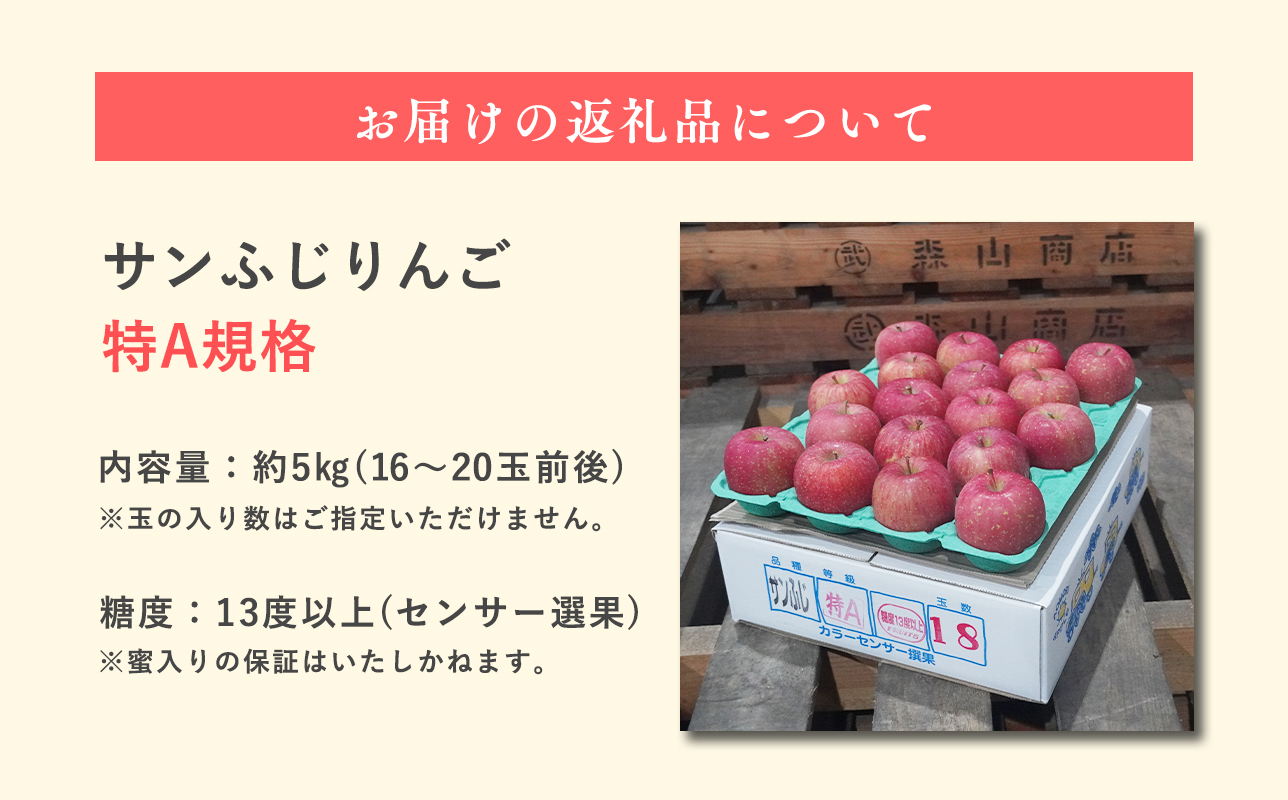 3月  サンふじりんご「特A」約5kg 糖度13度以上(14〜20玉程度） 【森山商店・平川市・青森りんご・3月】