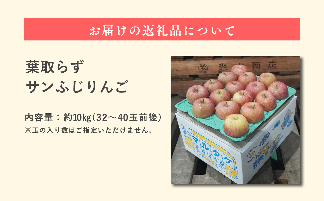 2月 訳あり 家庭用葉取らずサンふじりんご 約10kg【森山商店・青森県産・青森りんご・2月】